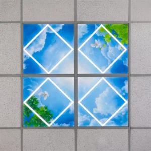 Pigeon Sky LED Ceiling Light Panel